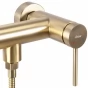 REA - Sprchová baterie Clif Brush Gold REA-B4243